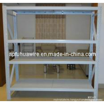 Store and Supermarket Shelf (factory)